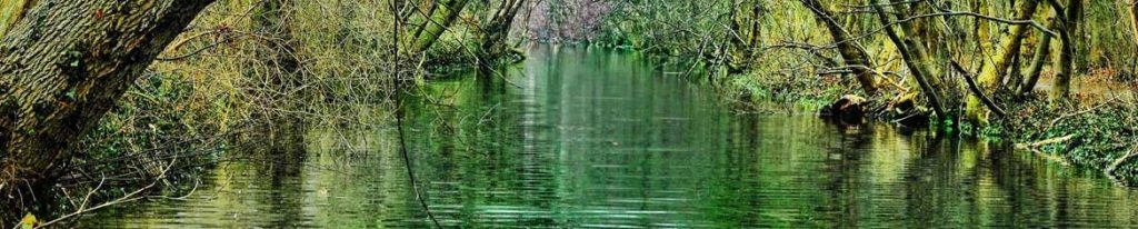 Reserves de pêche de l'Yonne : réglementation